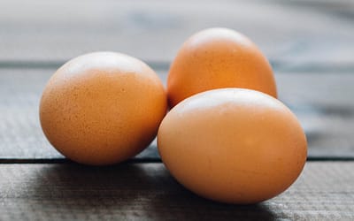 Agencies step up action on Spanish egg-linked salmonella outbreaks